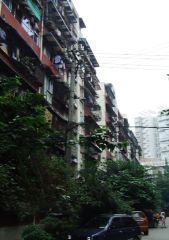 东光南二巷2号 2室1厅 东北