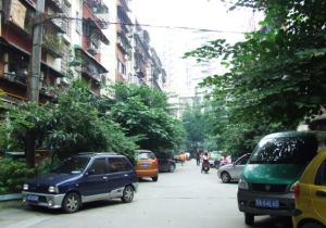 东光南二巷2号 2室1厅 西南