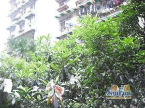 东光南二巷2号 2室1厅 东南