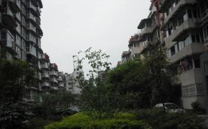 东光南二巷2号2室1厅东北北北