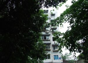 绿园小区2室1厅南