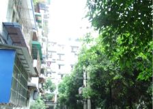 绿园小区 2室1厅 南