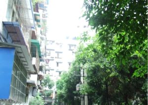 绿园小区3室1厅东
