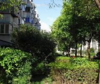 房子走到十八号地铁493米,出门即是繁华航头钻石区域