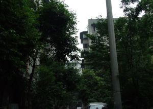 驿马桥小区2室2厅东南