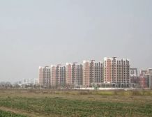 洋房大两房+中高楼栋位置好+南北通+采光通风好