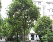 首付30万卖一房,租金3000+,好!