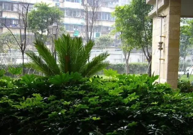 青房云上东区