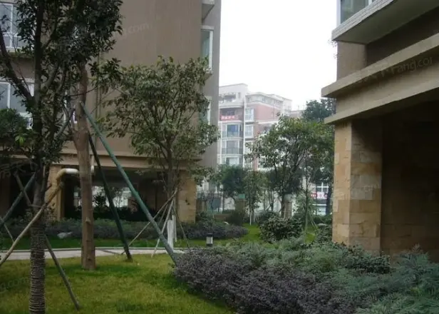 青房云上东区