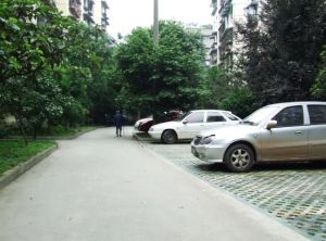 新莲新苑3室1厅西南