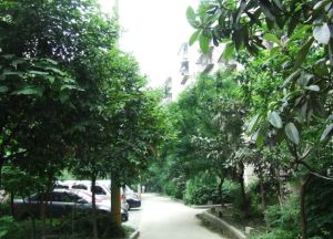 新莲新苑 2室2厅 东南