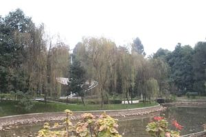 森宇音乐花园5室2厅东南