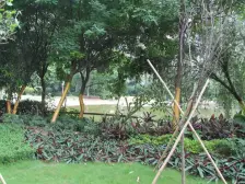 君景湾三期 一线望江 中高层 视野好 南北对流 双阳台