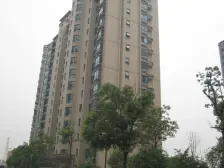 绿洲康城亲水湾(中央区) 1室1厅 南