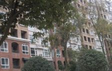 美茵河谷3室2厅东
