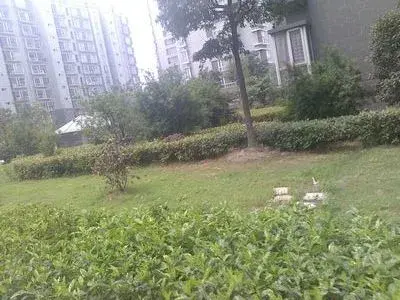 聚缘雅居