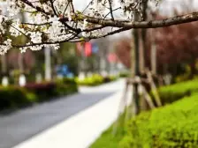 新上高区景观,满五年,有产权车位,10号线地铁