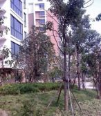 东部新城 雅戈尔锦绣东城 配套齐全 精装修保养好