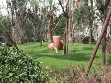 美林郡顶楼复式 精装修 森林小区