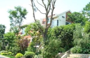 依云3室2厅东南