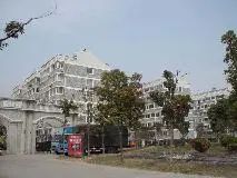 临中南 瑞慈旁 新星苑 中间楼层 双阳台 精装拎包入住