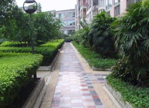 永泰雅居3室1厅南