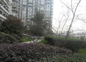 瑞泰锦城3室2厅北