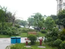 曦城 1室1厅 西南