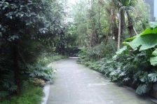 鹭岛国际一二期 4室2厅 东南