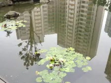 恒基翠庭苑 2梯2户 朝中庭 诚心出售,