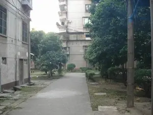 黎明新村樱花园