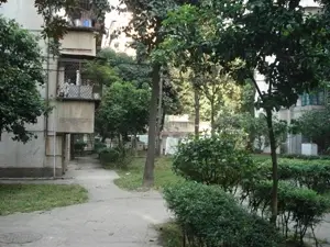 黎明新村樱花园
