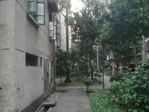 黎明新村樱花园