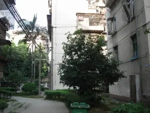 黎明新村樱花园