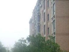 杨汛桥大桥临江绿苑大户型电梯带阁楼