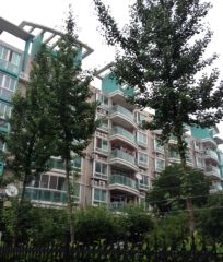 金都景苑大三房,大润发商圈,金都物业,生活配套齐全