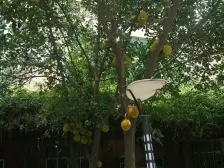 祥利花园四期标准三房两卫户型方正业主诚意出售