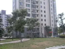 电梯房 现场实勘,无抵押 业主诚意