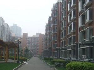 房子顶带阁,户型好,阳光充足,业主诚心出售