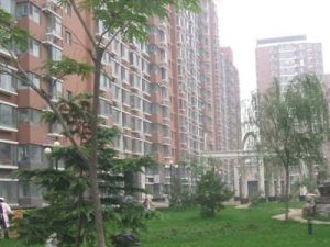 房子是简装,楼下建筑面积164.38方,阁楼57.73方。