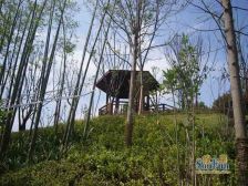 庐山路北师大中建御山和苑 精装修 领包入住