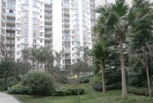 东山国际新城A区 2室2厅 南