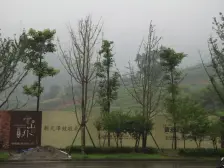 次新小区小高层 正中庭 中间楼层 安静大横厅四房双卫