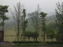 城北新区 云山外四房200.8万