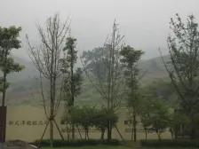 北碚云山外电梯入户,随时看房