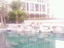复试近地铁精装修近印象城近公园