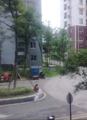 兴堰逸苑 2室1厅 东南