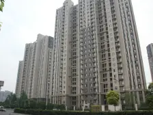 金地物业,环境优美,绿化好,人车分流,安静宜居