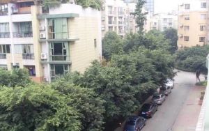 银都花园欣苑五期4室2厅南