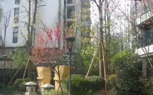 置信丽都花园城C区3室2厅东南